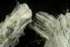 Arkansas Asbestos Abatement Procedures