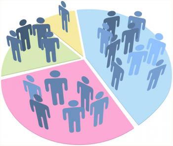 Census Record Overview